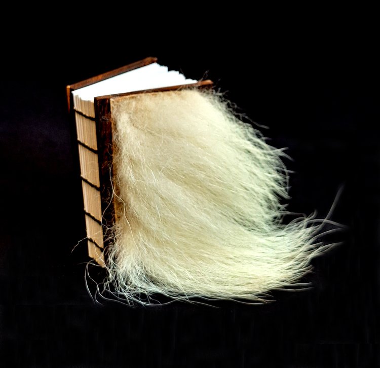 miniature-art-book-erwin-huebner-polar-bear.jpg