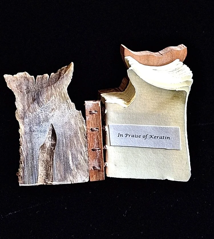 miniature-art-book-erwin-huebner-prong-horn-title.jpg