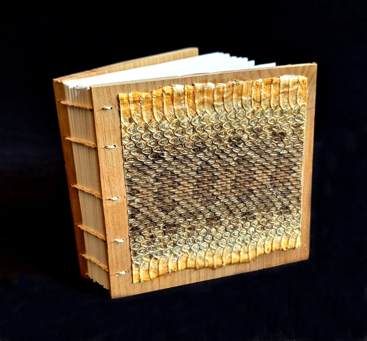 miniature-art-book-erwin-huebner-rattlesnake-skin.jpg