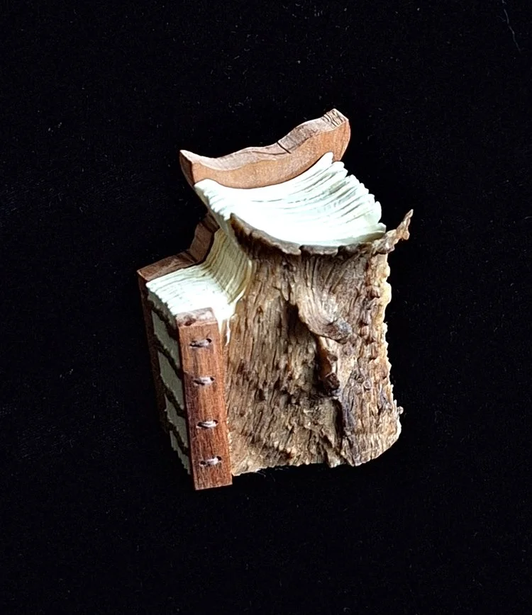 miniature-art-book-erwin-huebner-prong-horn.jpg