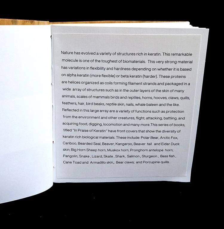 miniature-art-book-erwin-huebner-salmon-text-page.jpg