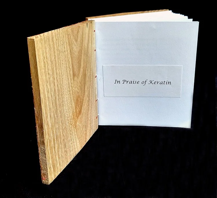 miniature-art-book-erwin-huebner-salmon-title-page.jpg