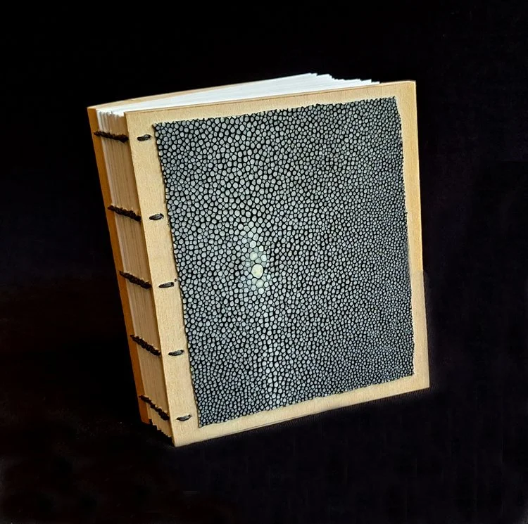 miniature-art-book-erwin-huebner-skate-skin.jpg