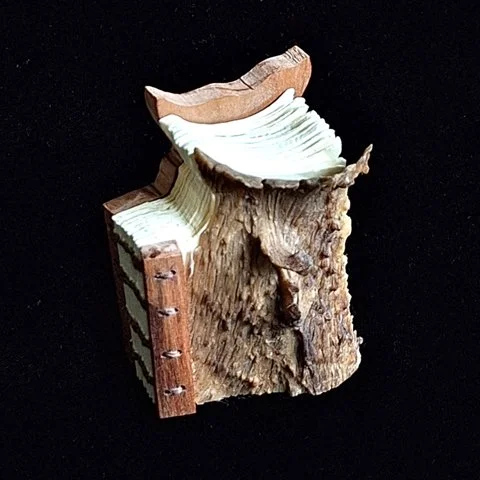 miniature-art-book-erwin-huebner-keratin-thumbnail.jpg