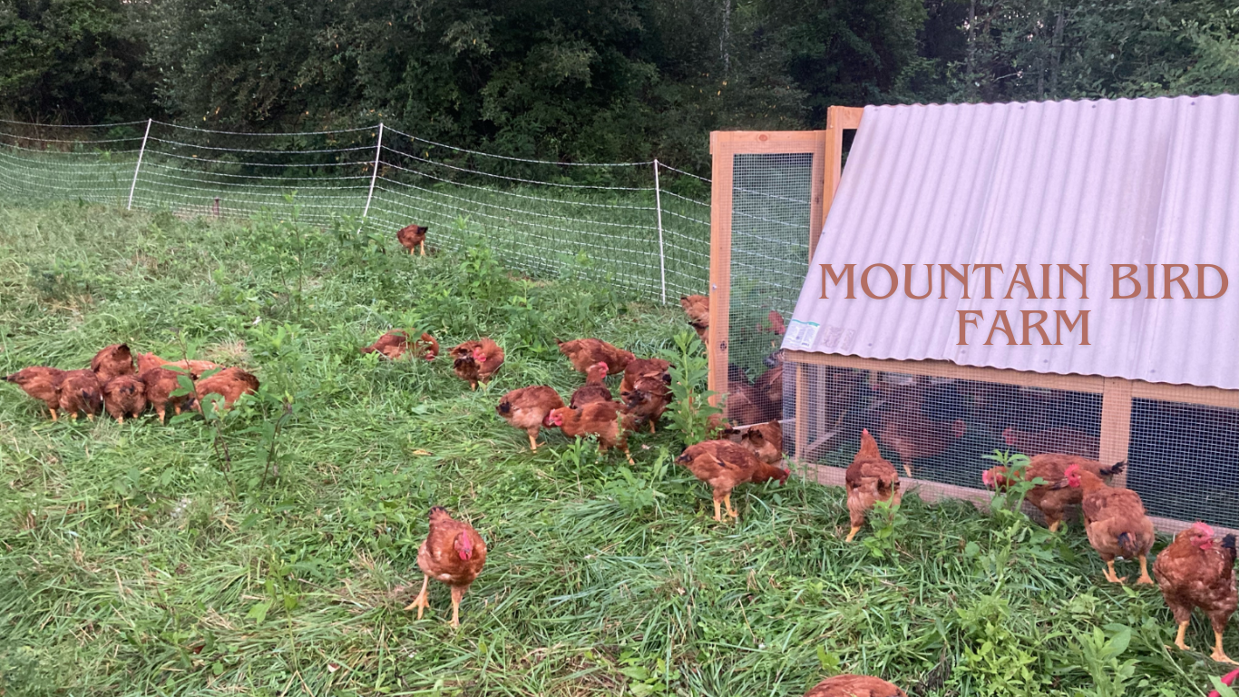 Mountain Bird Farm.png