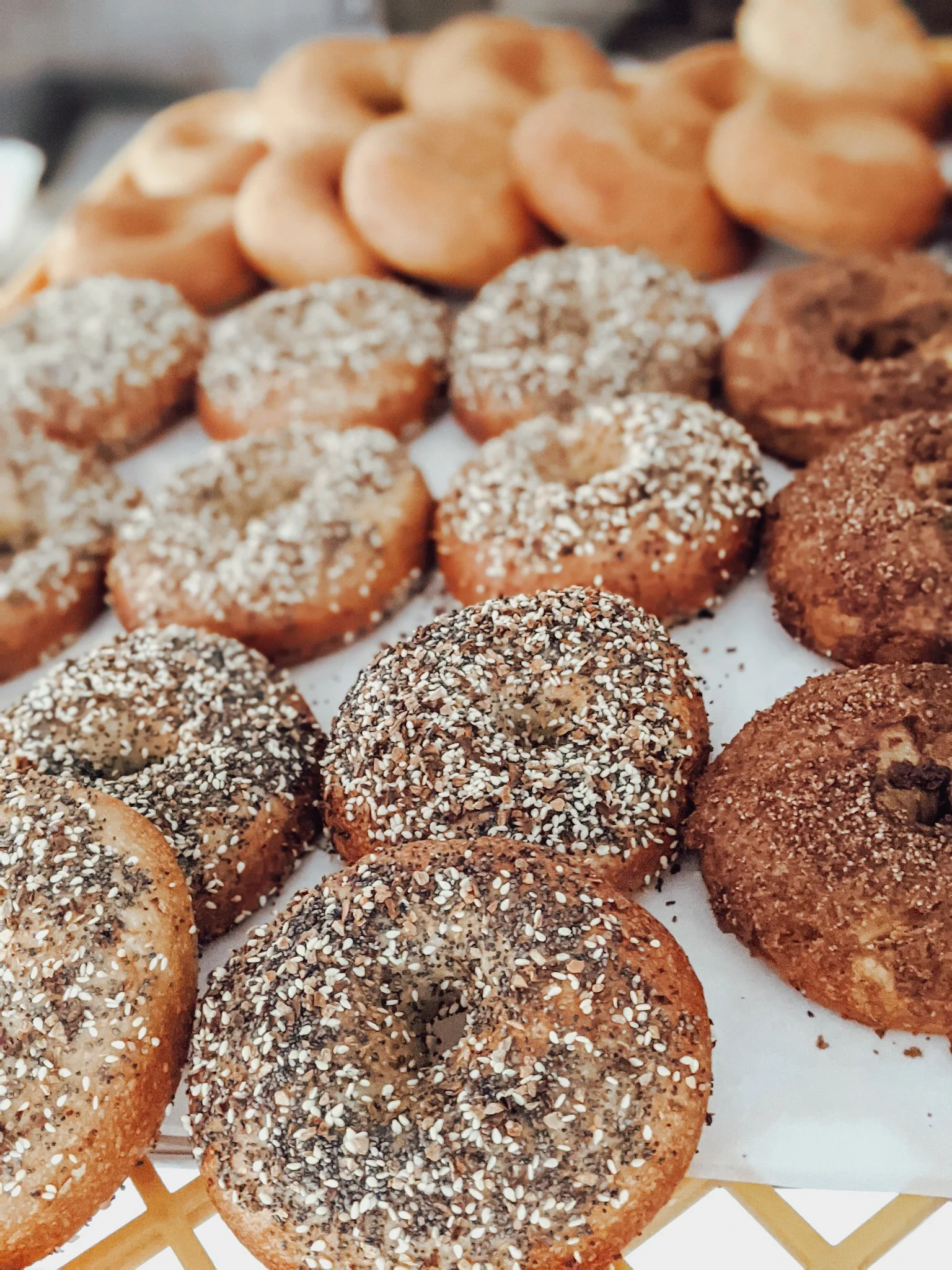 Sourdough Bagels from Seasons' Yield Farm — Foodlore Provisions