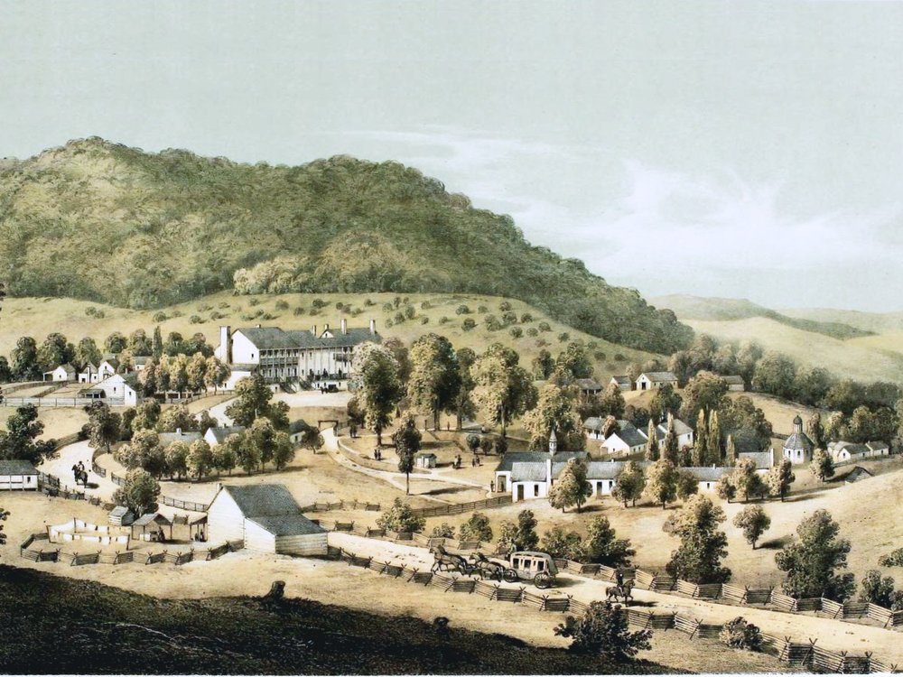 forages.jpeg