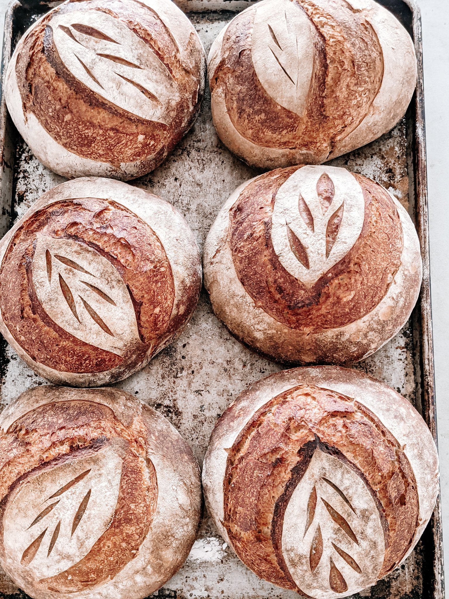 sprouted spelt loaf.jpeg
