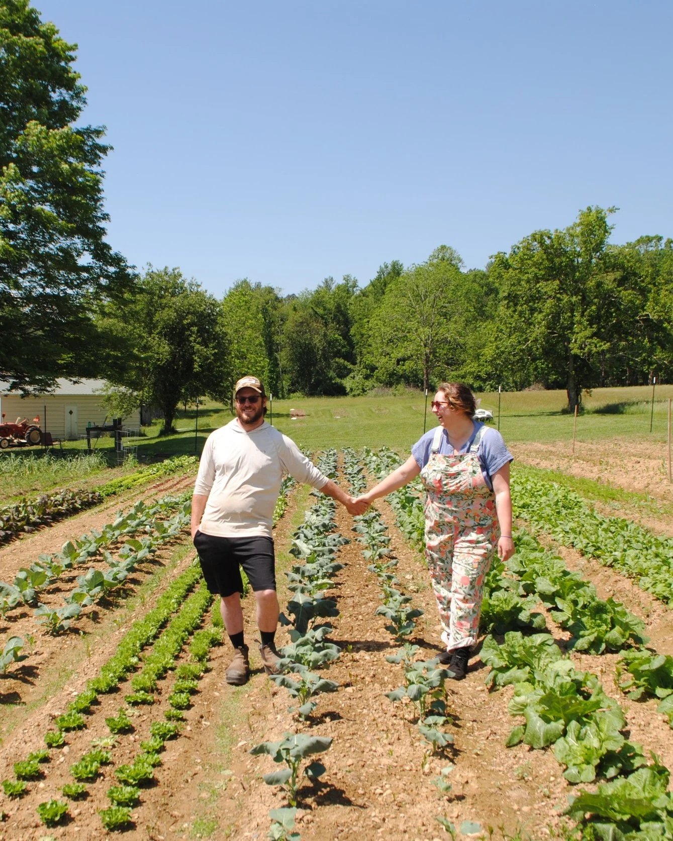 Endless Holler Farm