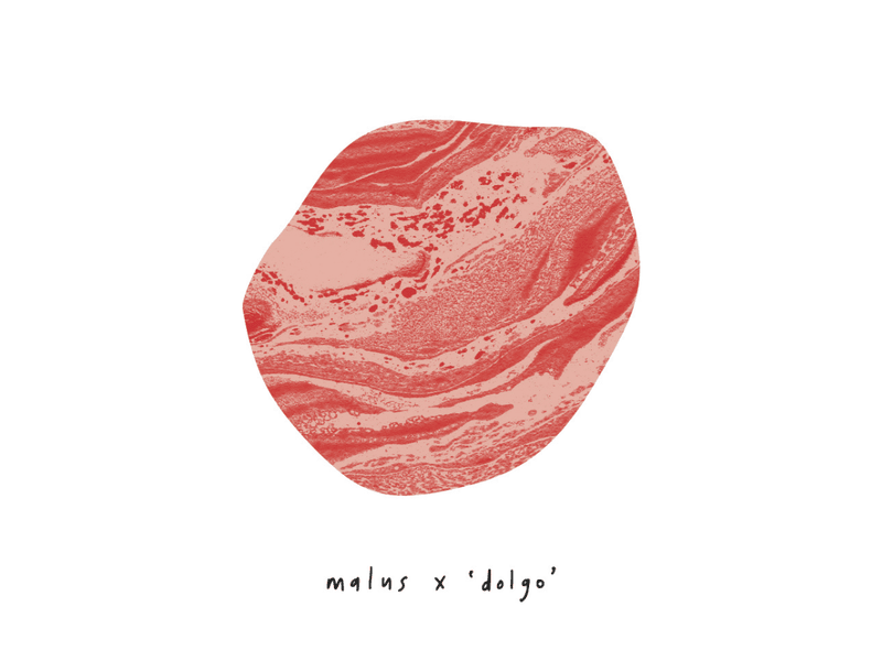 malus x dolgo.png
