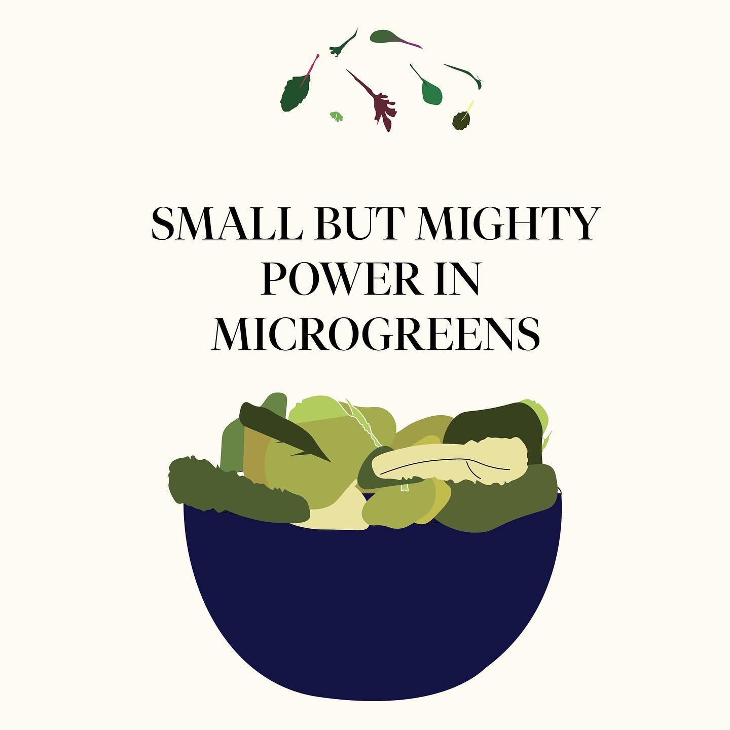 For this week&rsquo;s #freedomgardenchallenge, @lilysayhey shares how easy and accessible it is to grow microgreens indoors right on your windowsill! Microgreens are packed with antioxidants and rich in potassium, iron, zinc, magnesium, and copper ✨ 