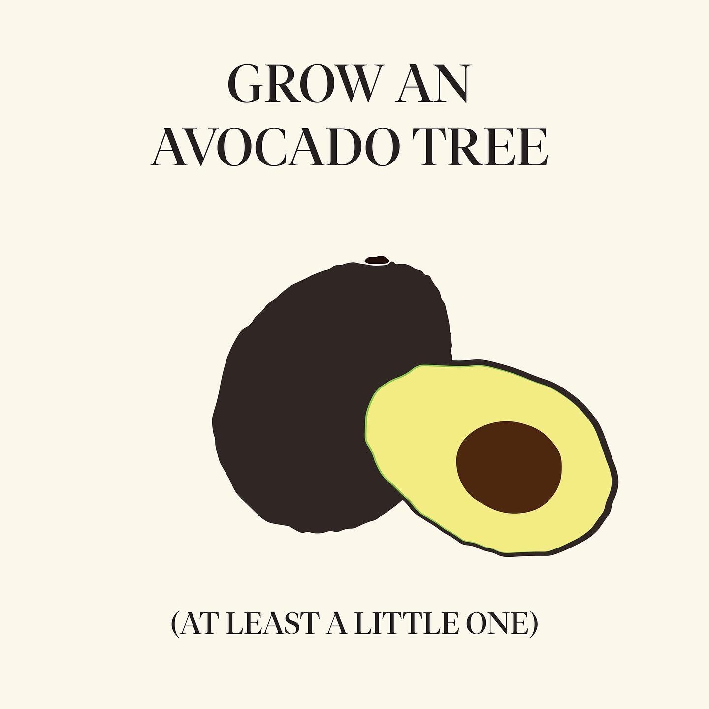 This week&rsquo;s #freedomgardenchallenge celebrates the beauty of propagation and the joys of small (or potentially very big) victories 🌱💪🏽 @lilysayhey shows us how easy it is to grow an avocado tree, or at least a little one - dependent on your 