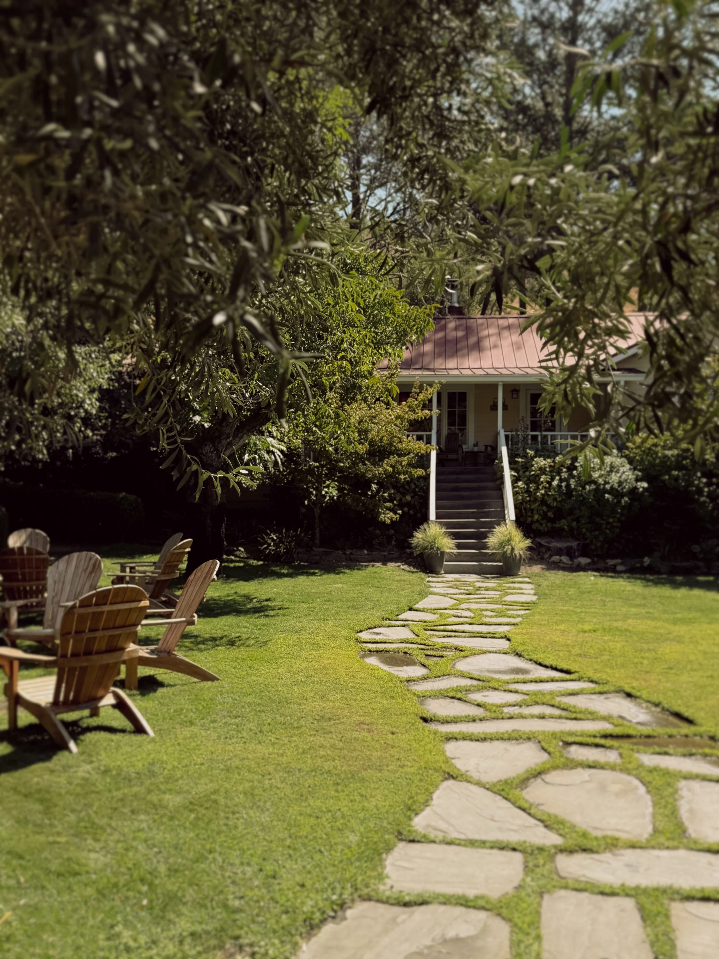 A Hidden Gem for Families in Napa Valley: The Best Boutique Winery Near St. Helena