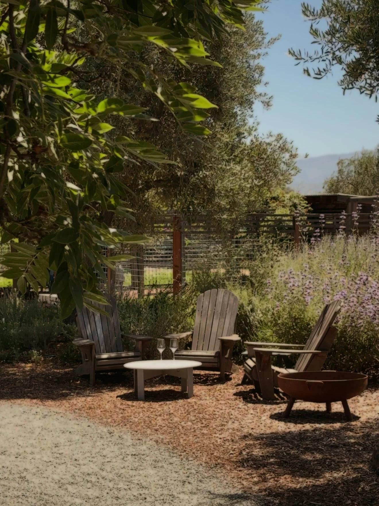 Wild-Zephyr-Napa-Family-Wineries.JPG