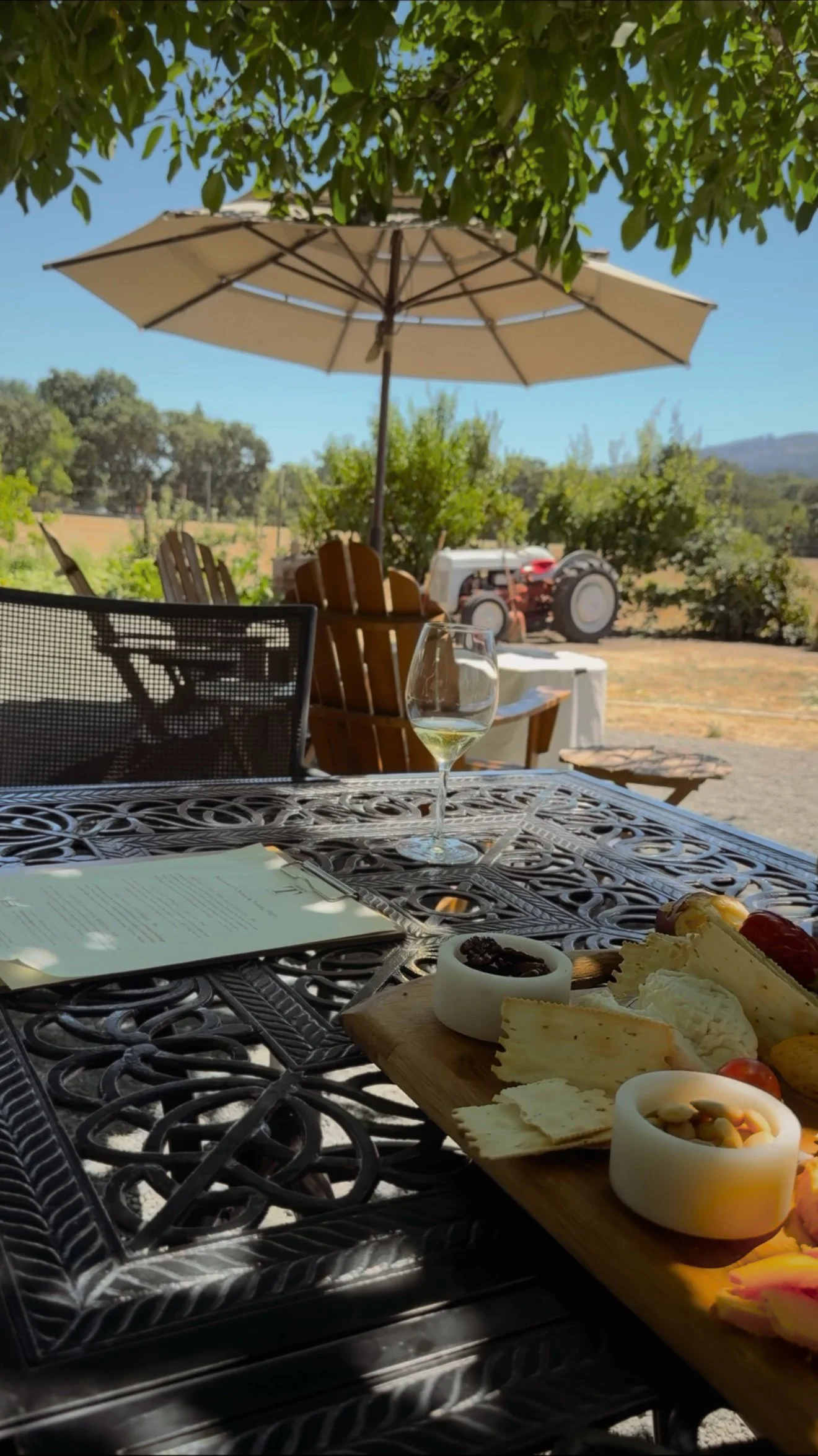 Napa-Wineries-Kid-Safe