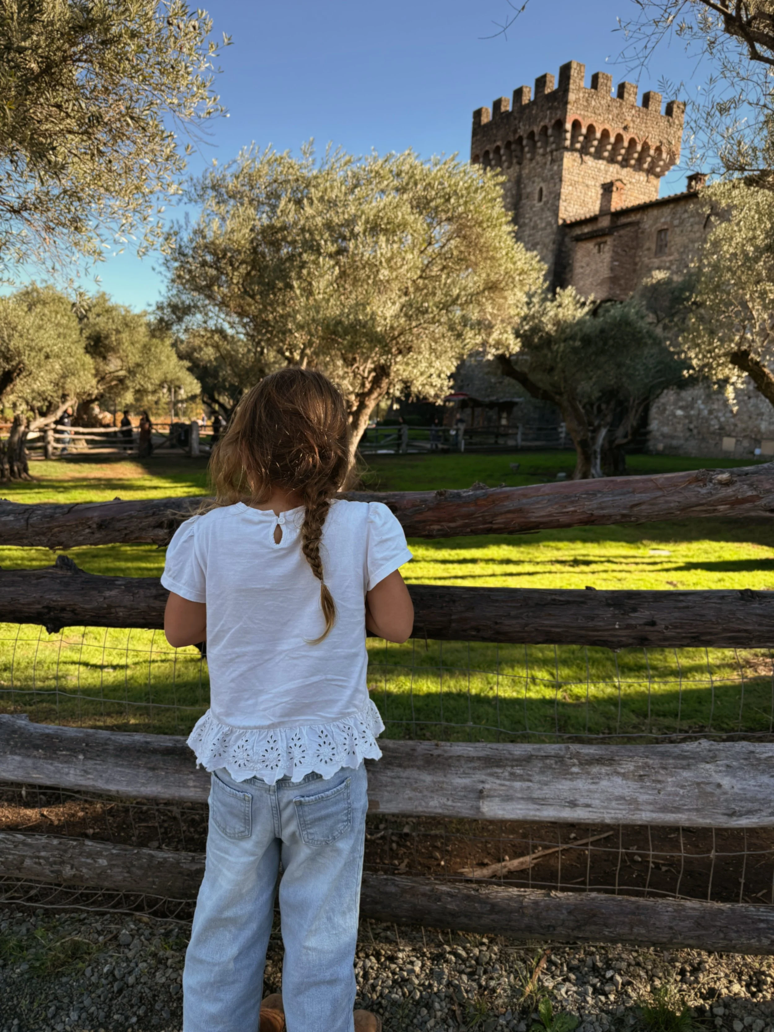 child watching animals at Castello di Amorosa