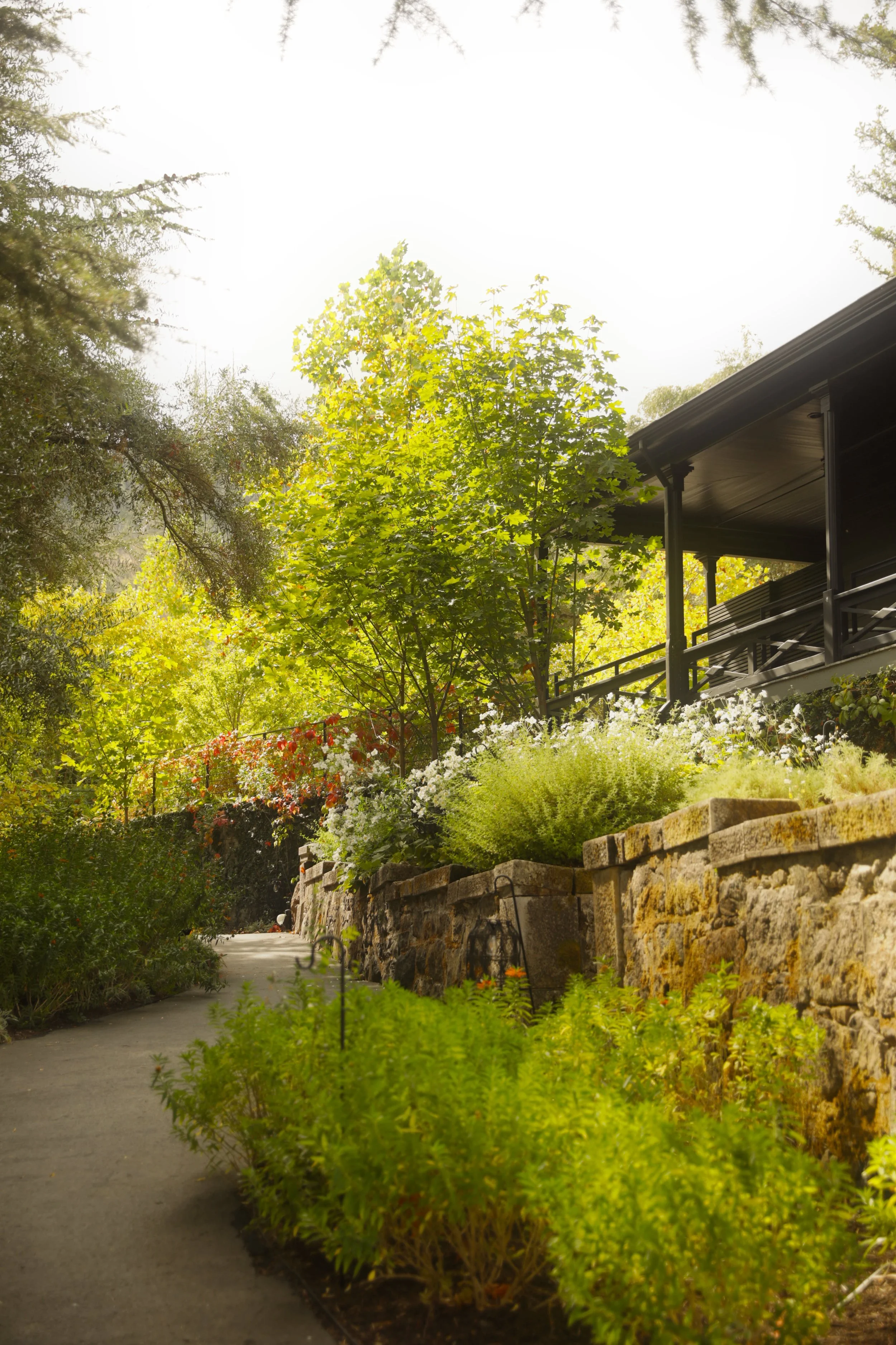 Faust-Haus-Saint-Helena-Winery-WZ11.JPG