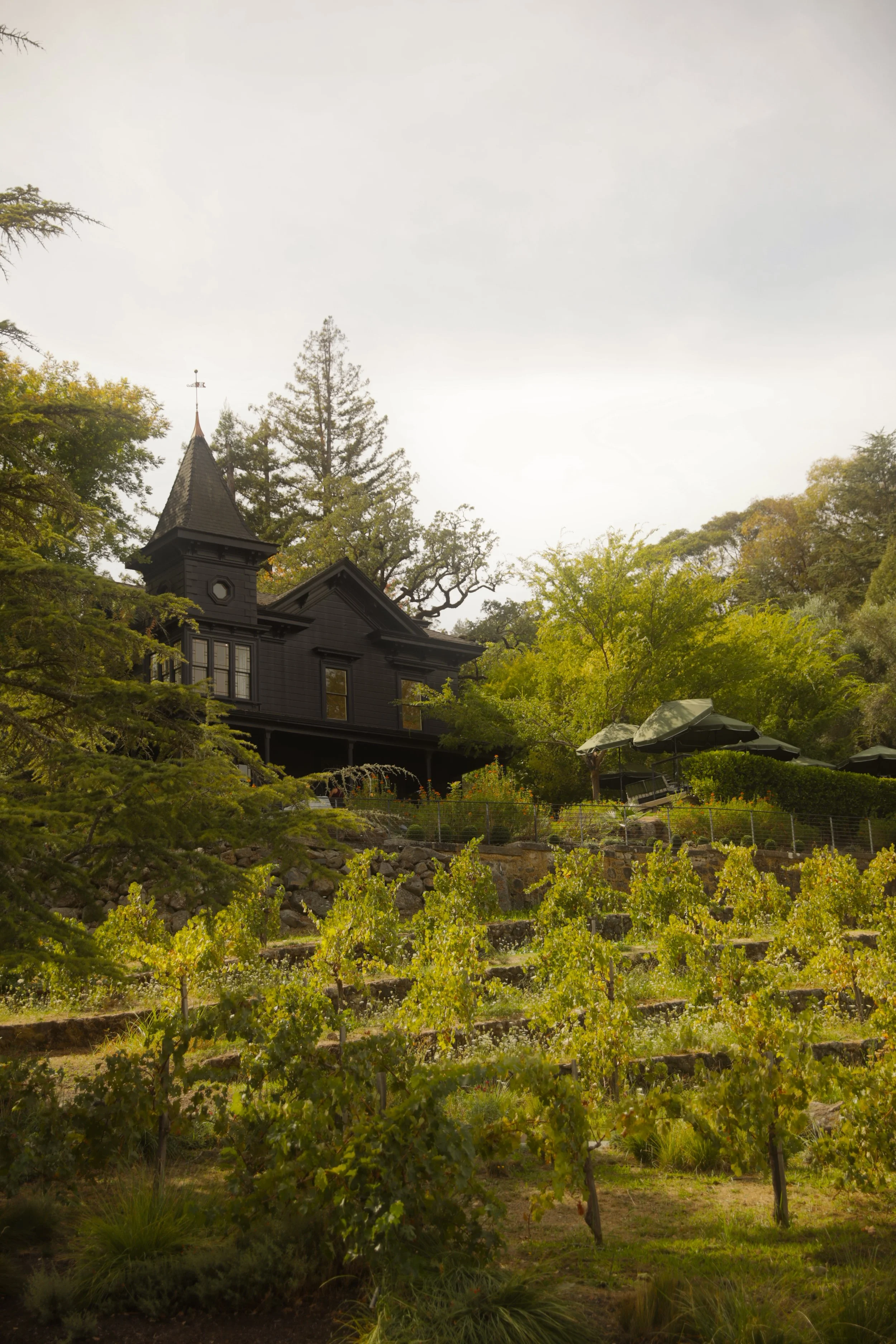 The Darker Side of Napa Valley: Inside Faust Haus