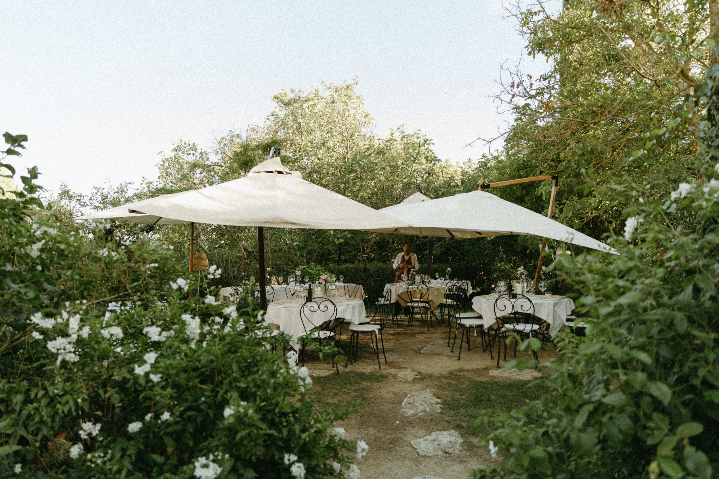 beautiful garden wine tasting experience