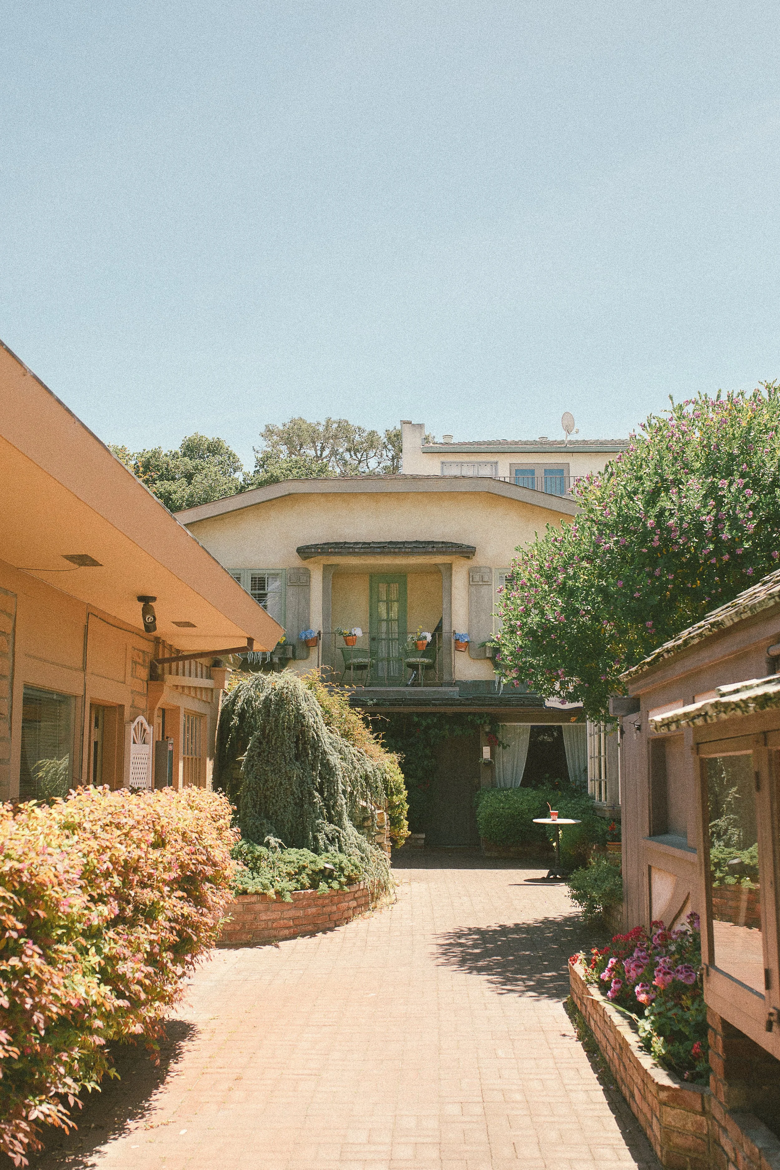 Carmel boutique hotel accommodations. Boutique Hotel Photographer Wild Zephyr