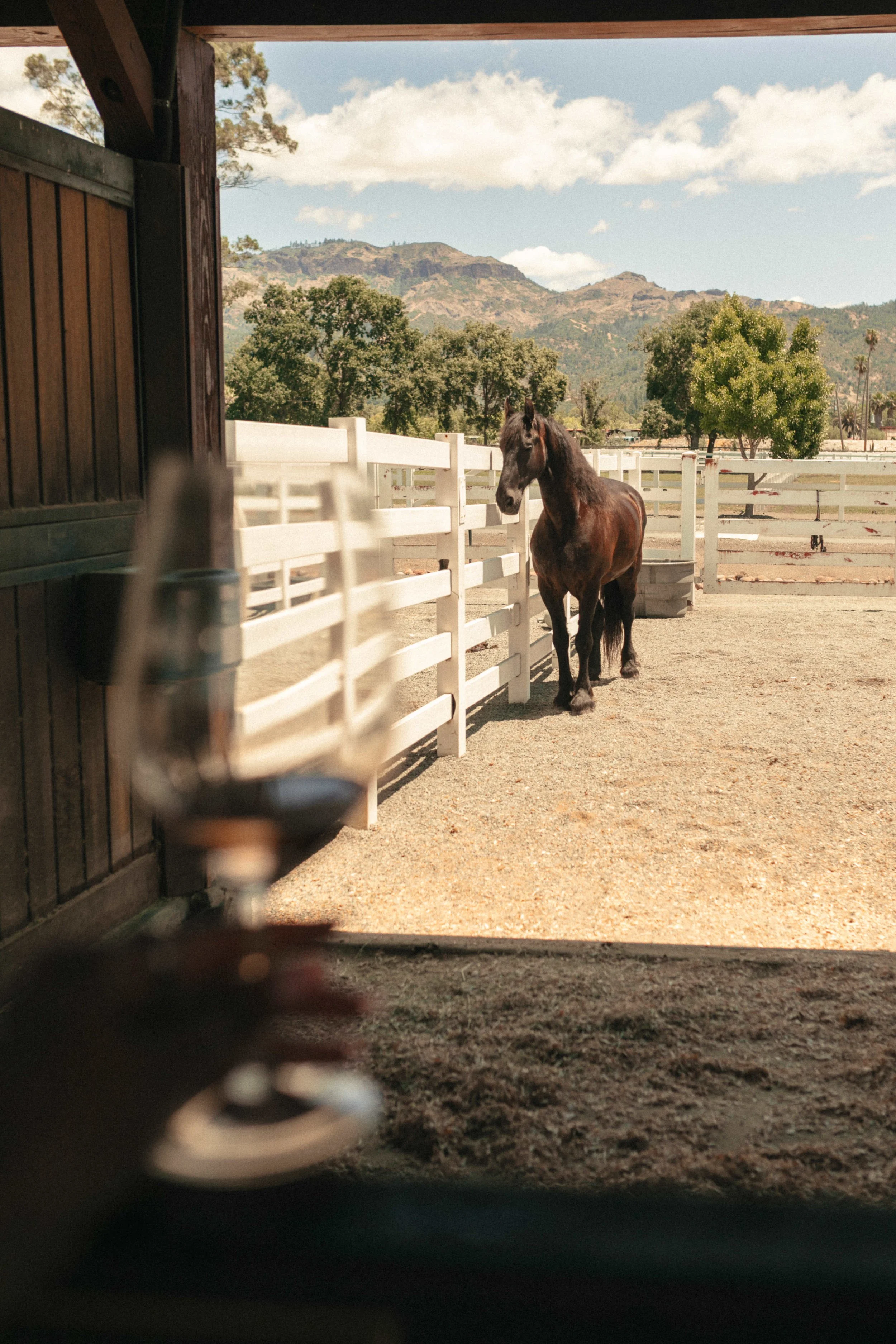 Tamber Bey Vineyards