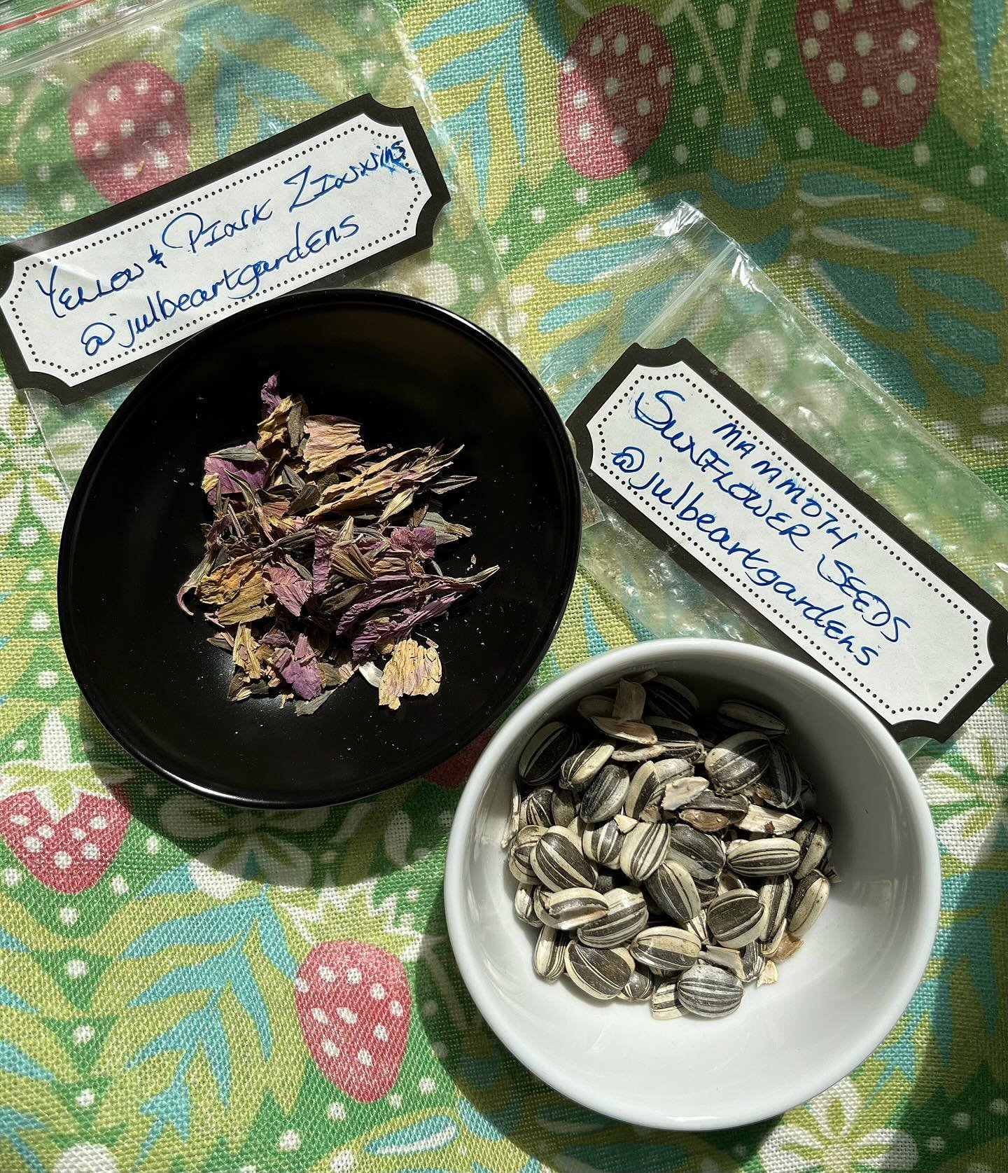 In January when the skies were leaden and the ground was hard, I received the most wonderful envelope in the mail. Julia Benn, of @julberartinteriors and @julbeartgardens, had sent me zinnia and sunflower seeds! And these were not just any seeds- the