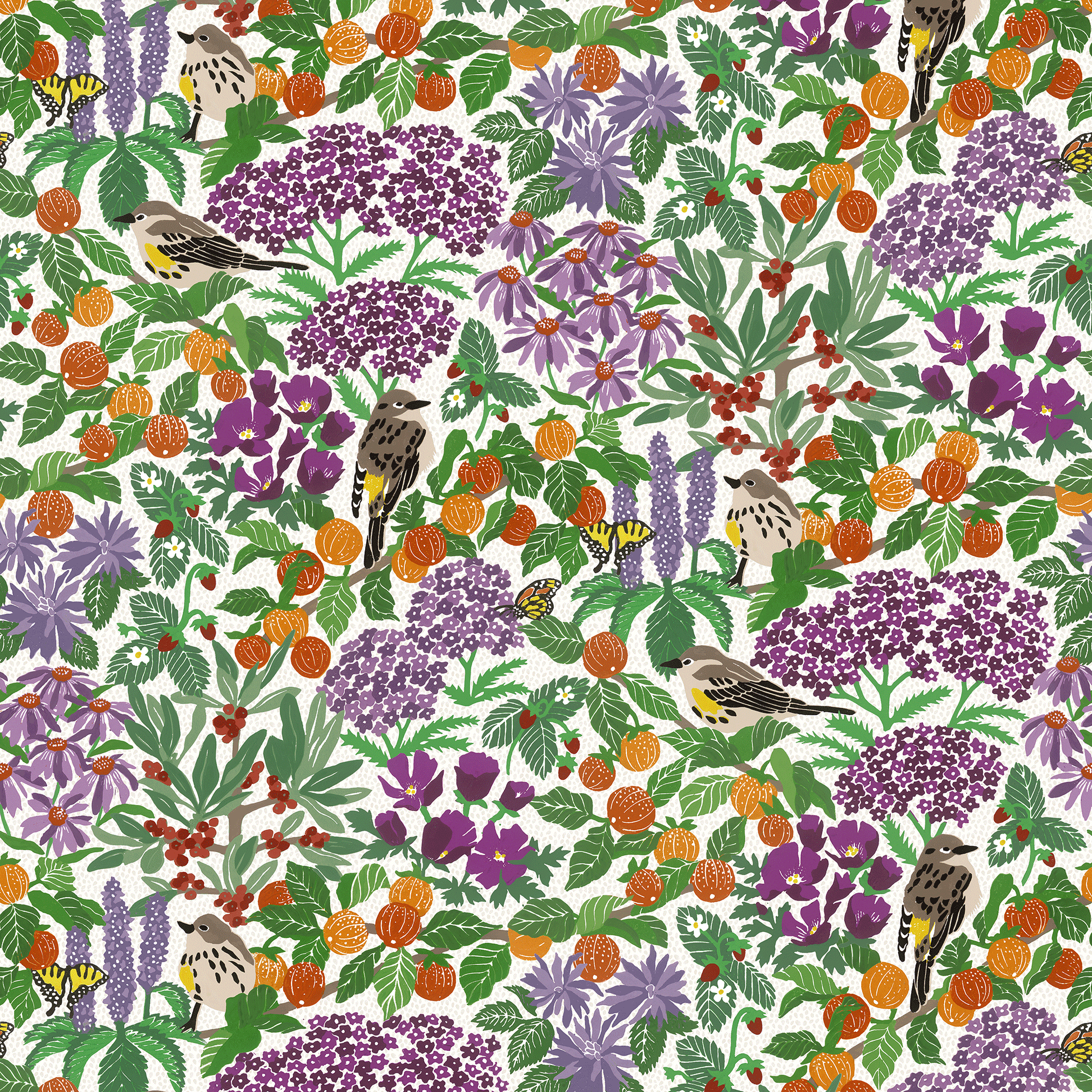 American Persimmon wallpaper in Sunrise