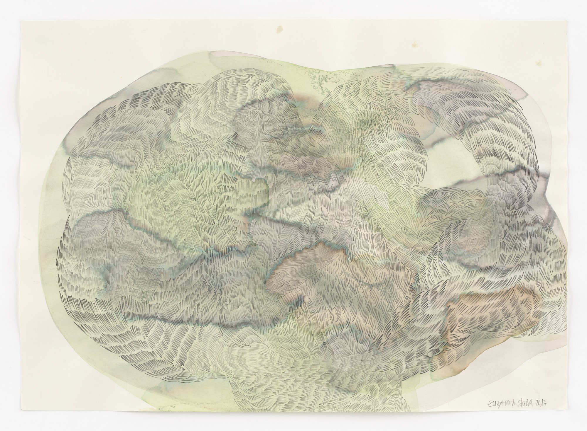 Z_S-127572.jpg