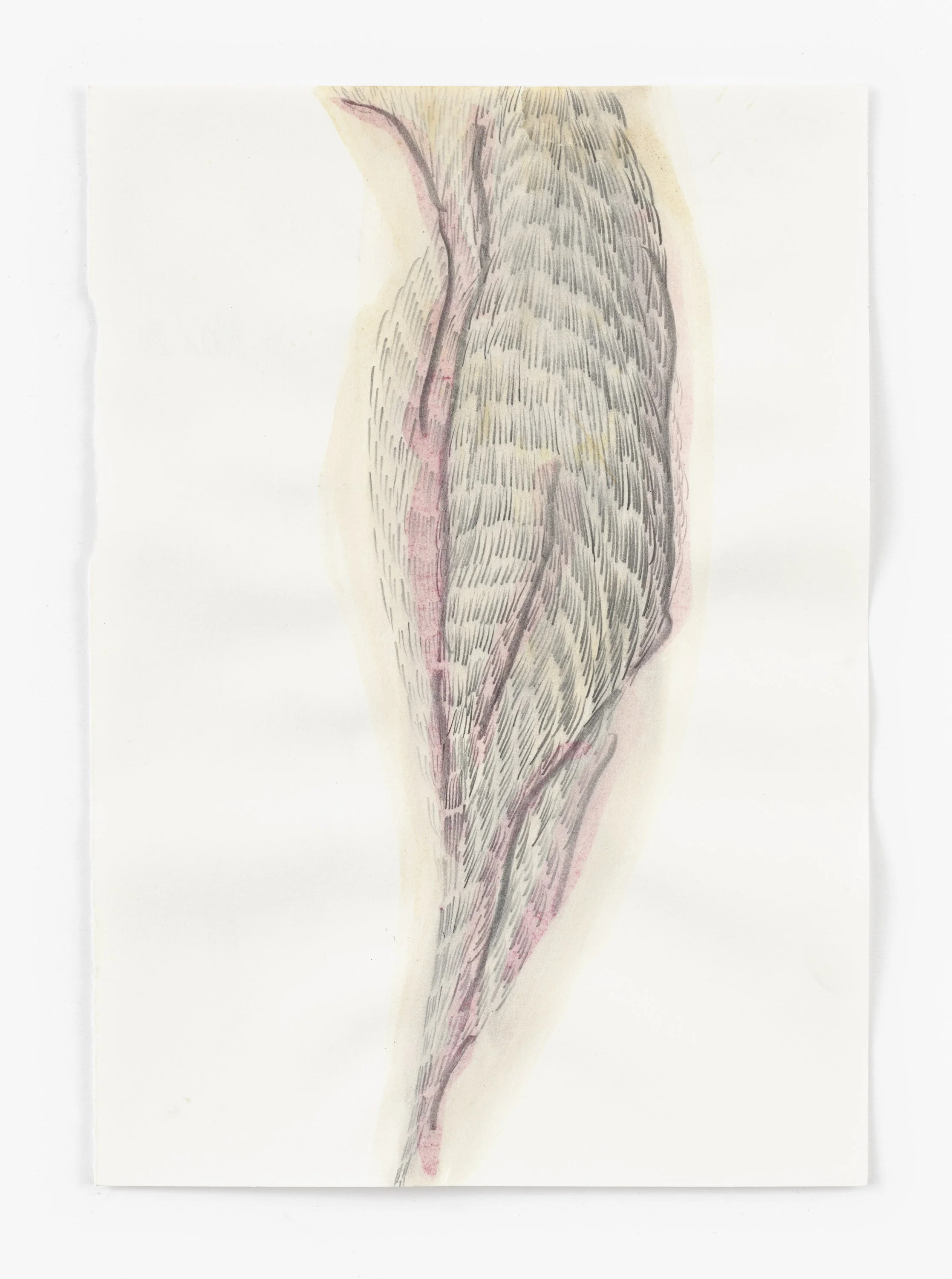13:14. das KNIEN, 30 x 21 cm, 2025 Zuzanna Skiba-7163.jpg