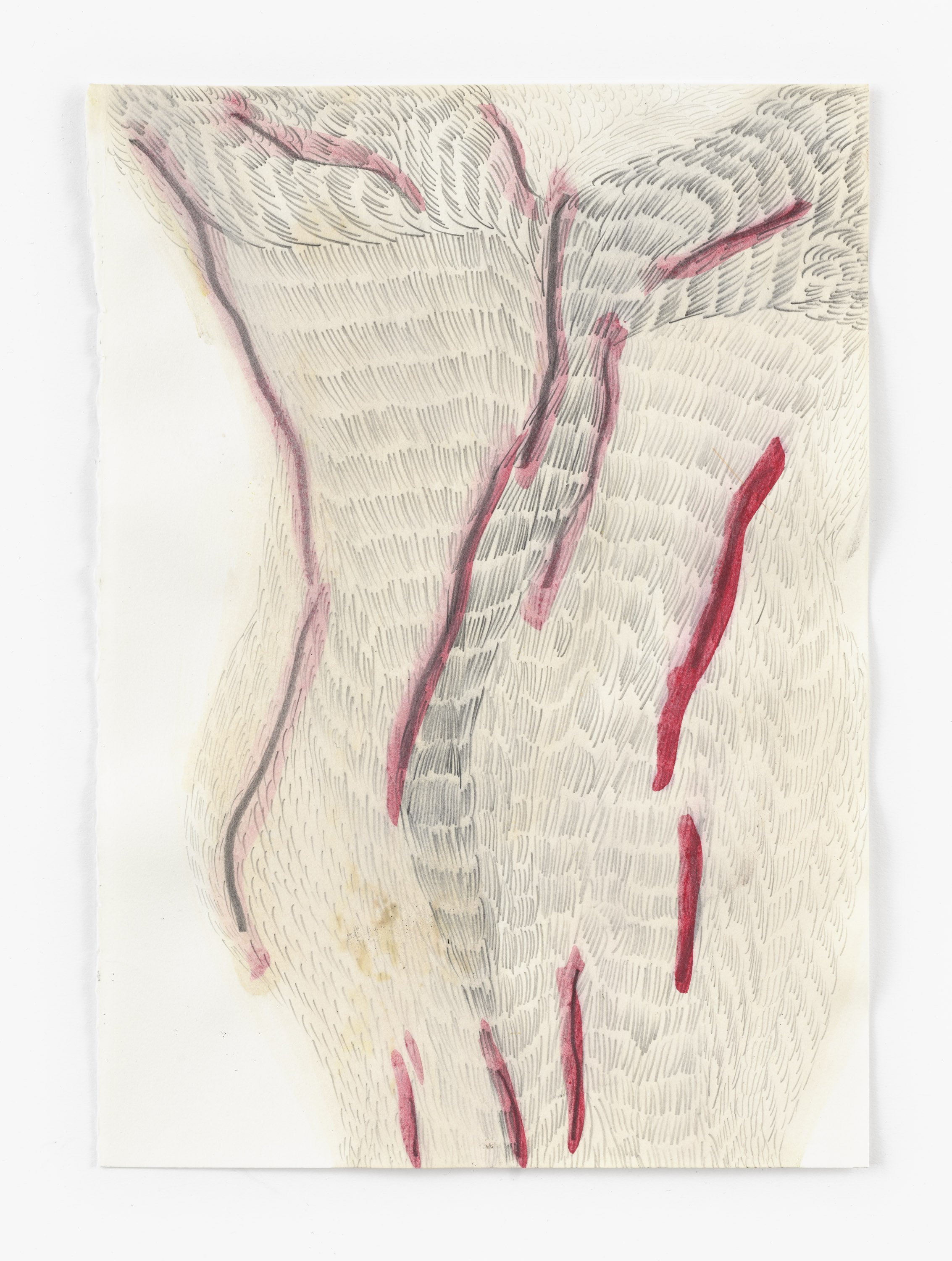 12:14. das KNIEN, 30 x 21 cm, 2025 Zuzanna Skiba-7162.jpg