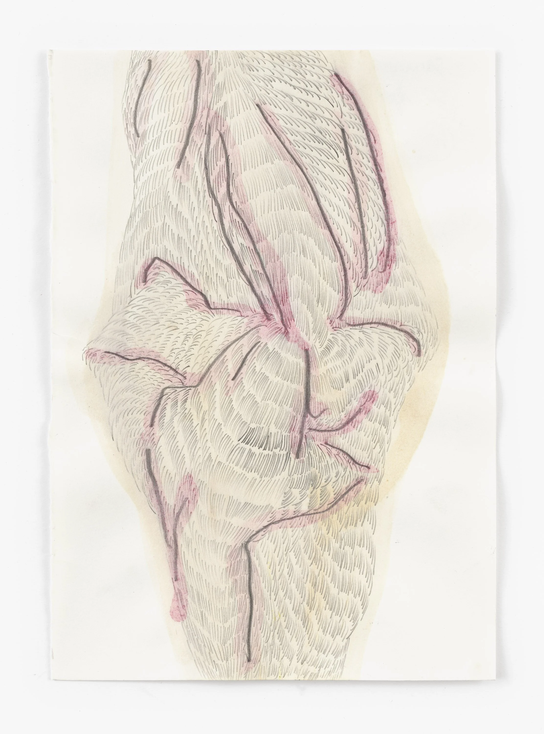 10:14. das KNIEN, 30 x 21 cm, 2025 _Zuzanna Skiba-7160.jpg