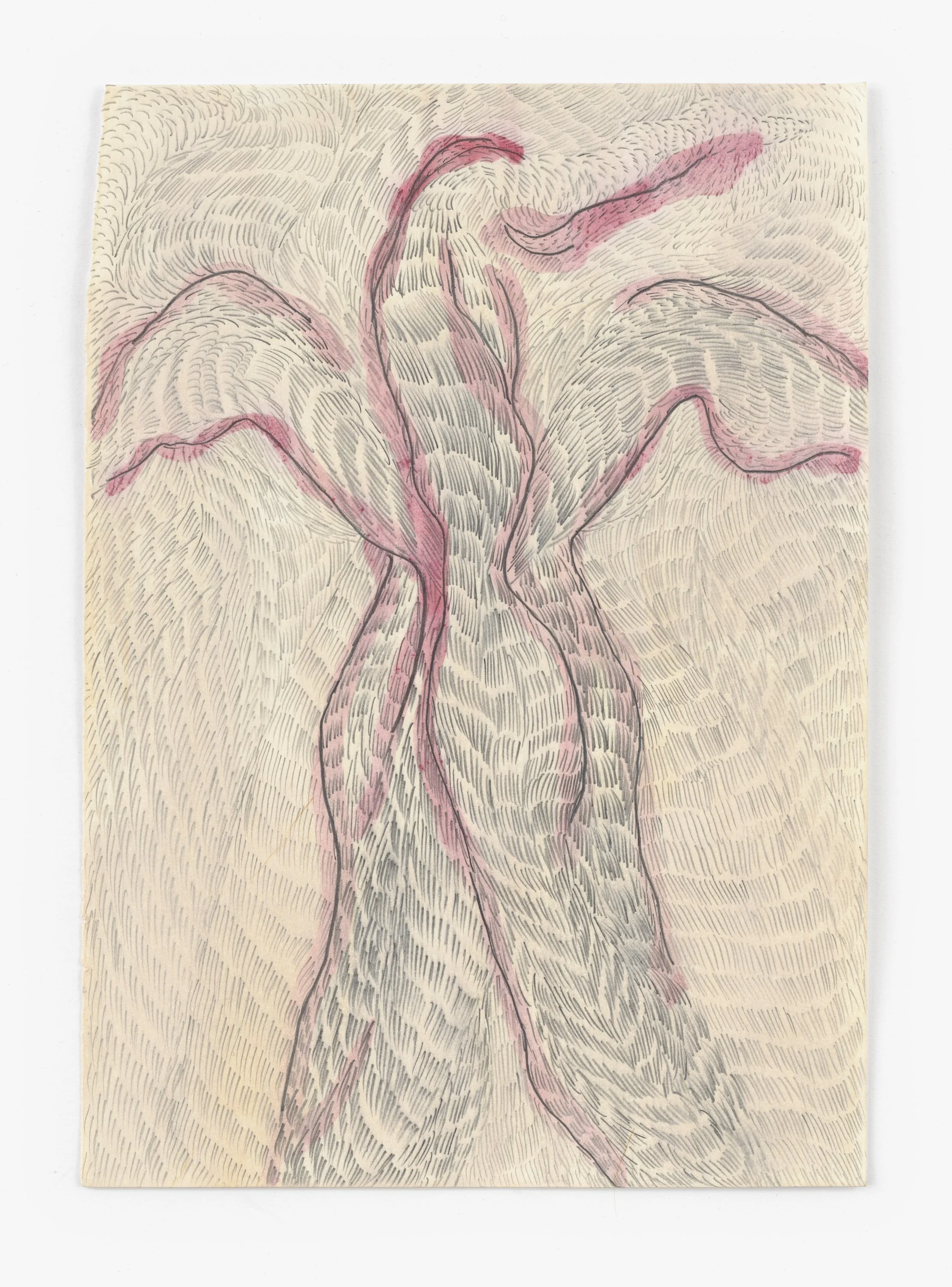 2:14. das KNIEN, 30 x 21 cm, 2025 Zuzanna Skiba-7152.jpg