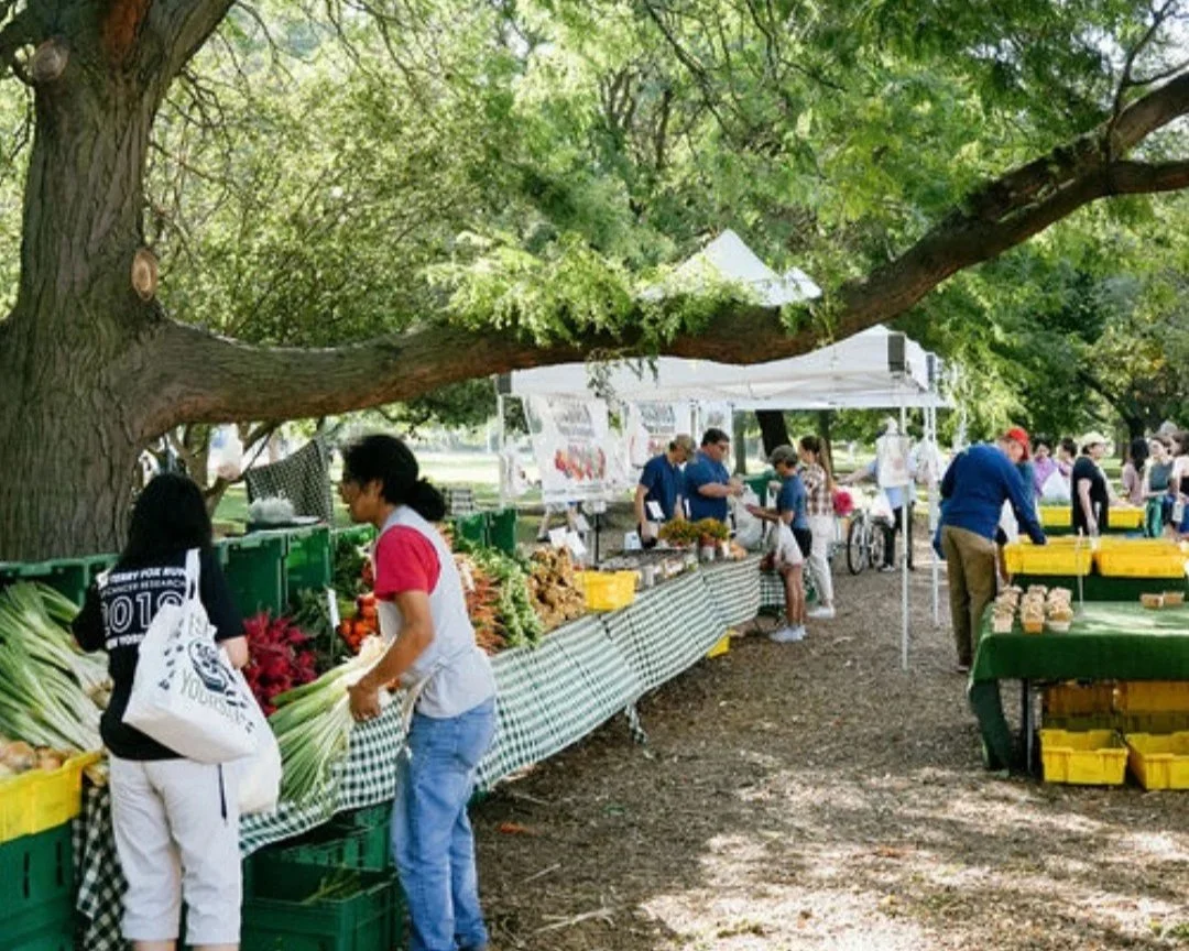 Chicago’s Favorite Farmer’s Markets &amp; Our Favorite Local Vendors