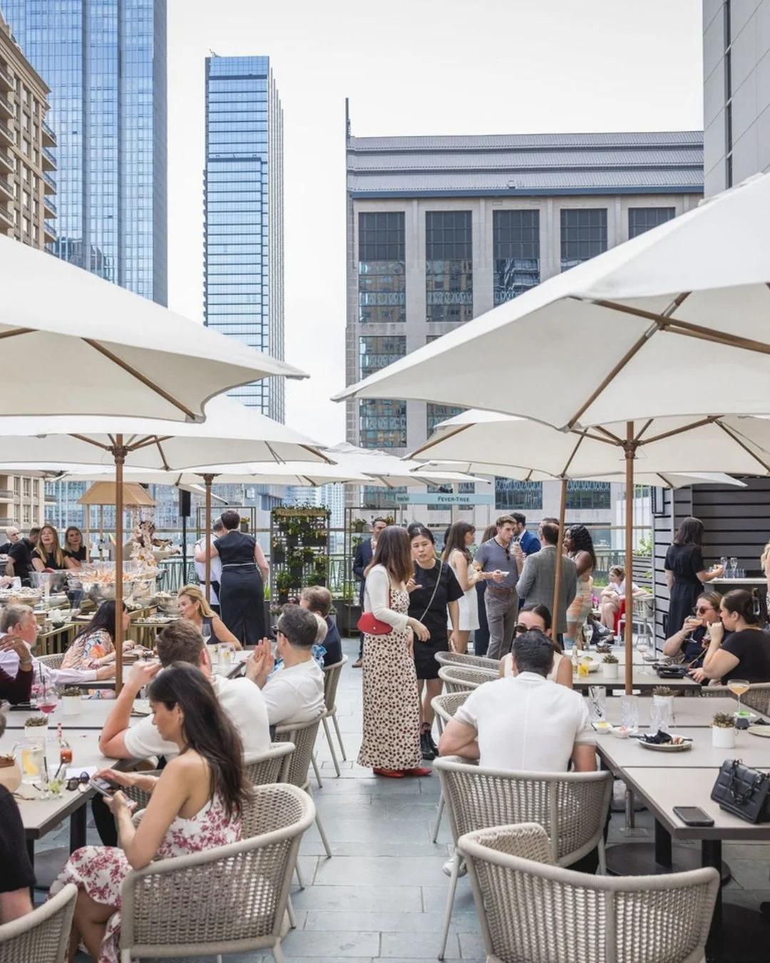Last Hurrah for Patio+ Rooftops