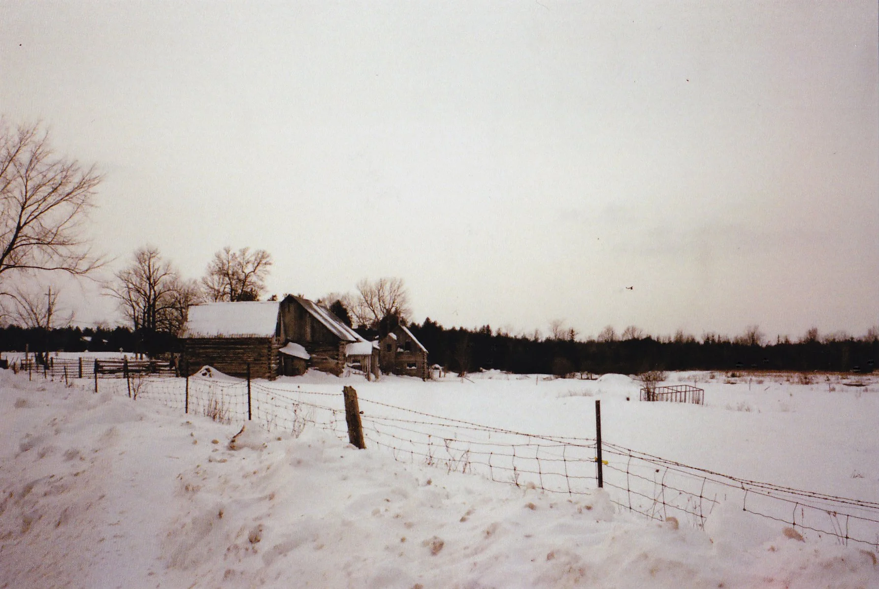 snowybarn01.jpg