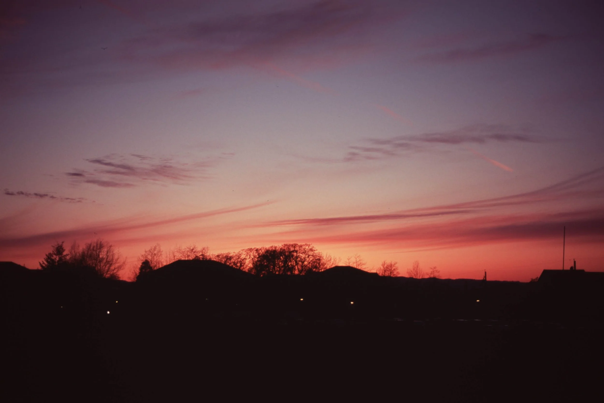 Aug Ektar 2018-12.jpg