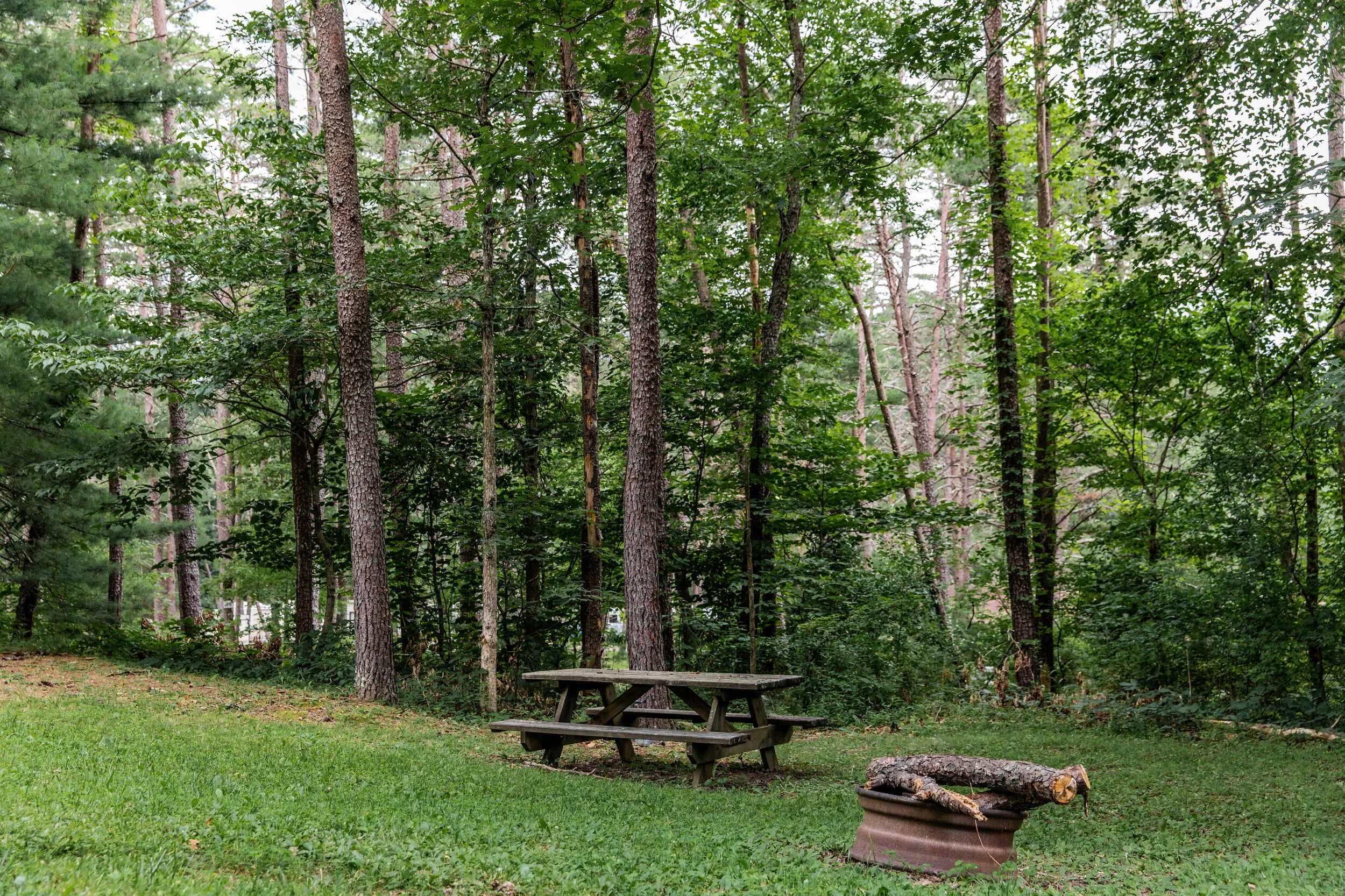 Historic Cold Sulphur Springs Campground