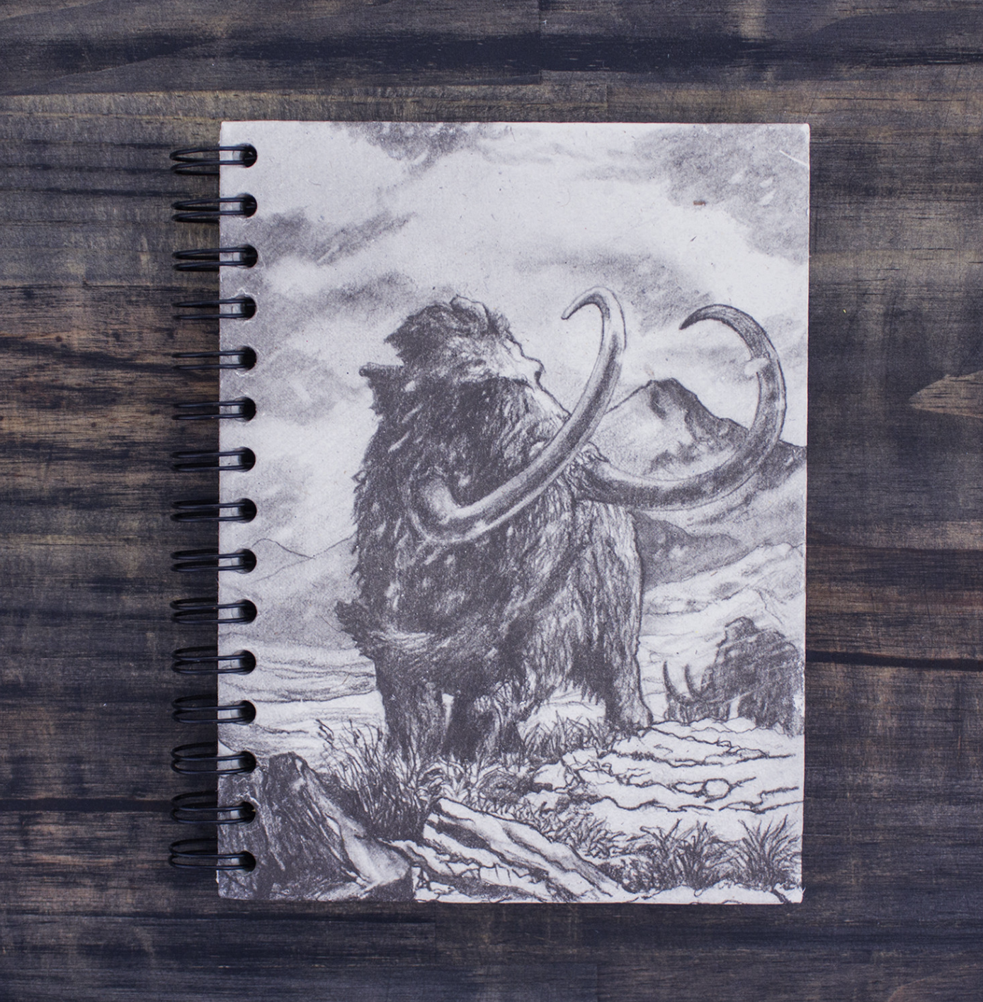 Screenshot 2026-01-26 at 8.31.45 PM.png