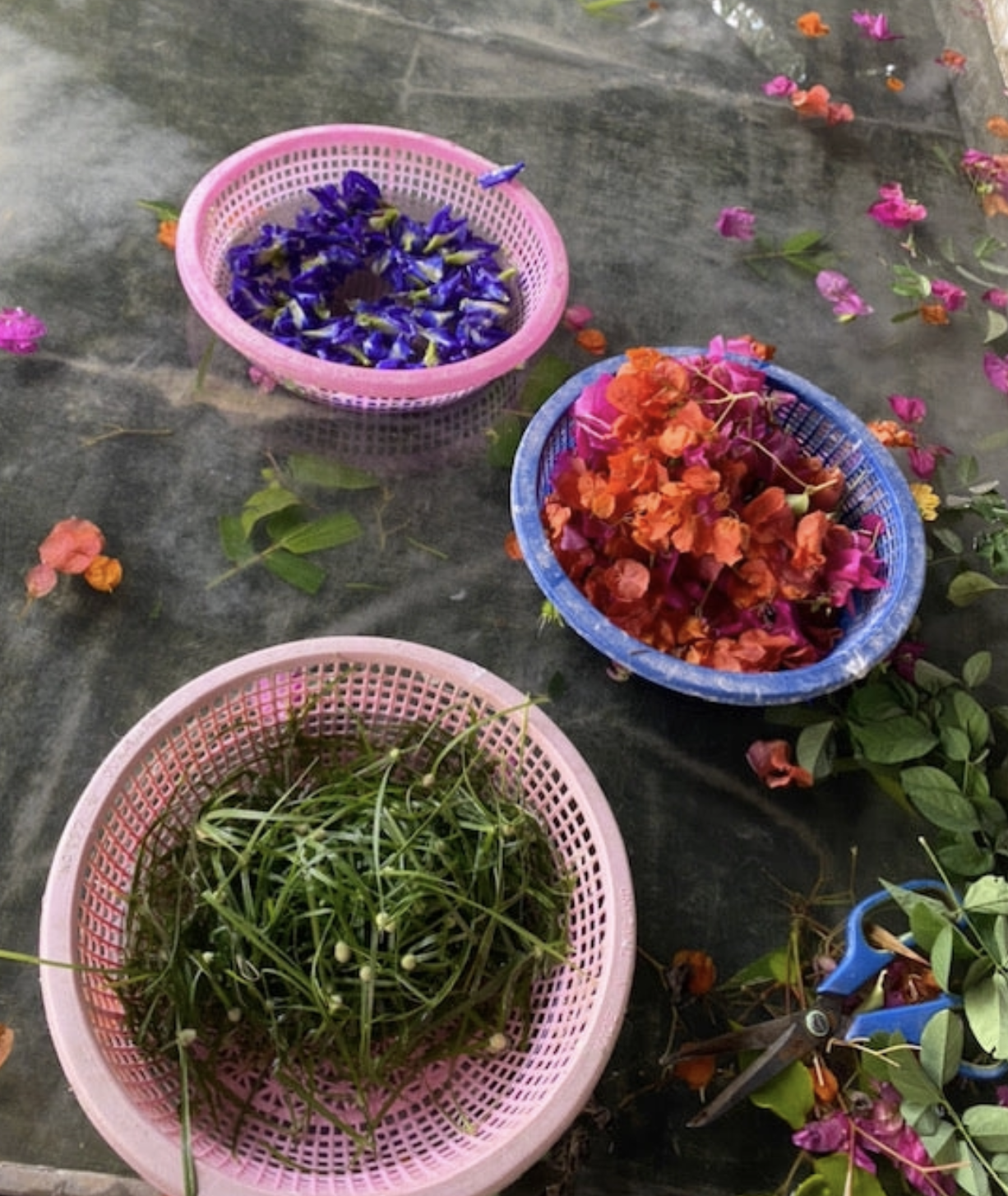 Screenshot 2026-03-04 at 4.03.07 PM.png