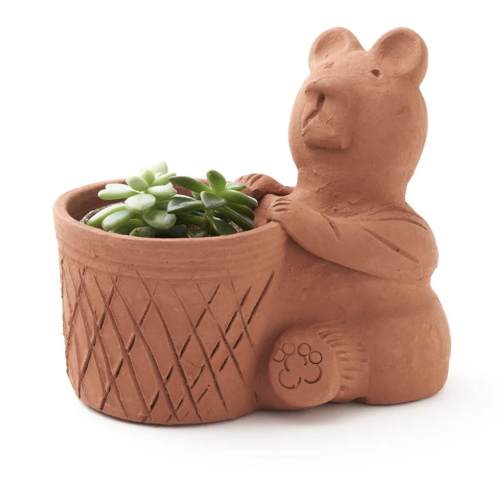 Rakshana Bear Plant Pot