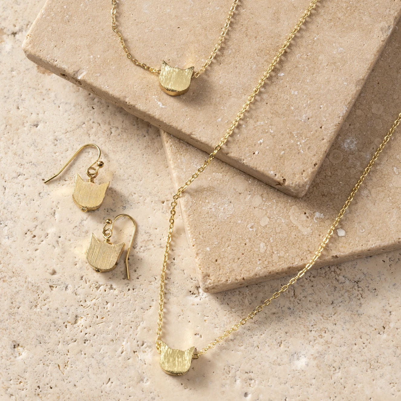 Screenshot 2026-02-25 at 1.19.43 PM.png