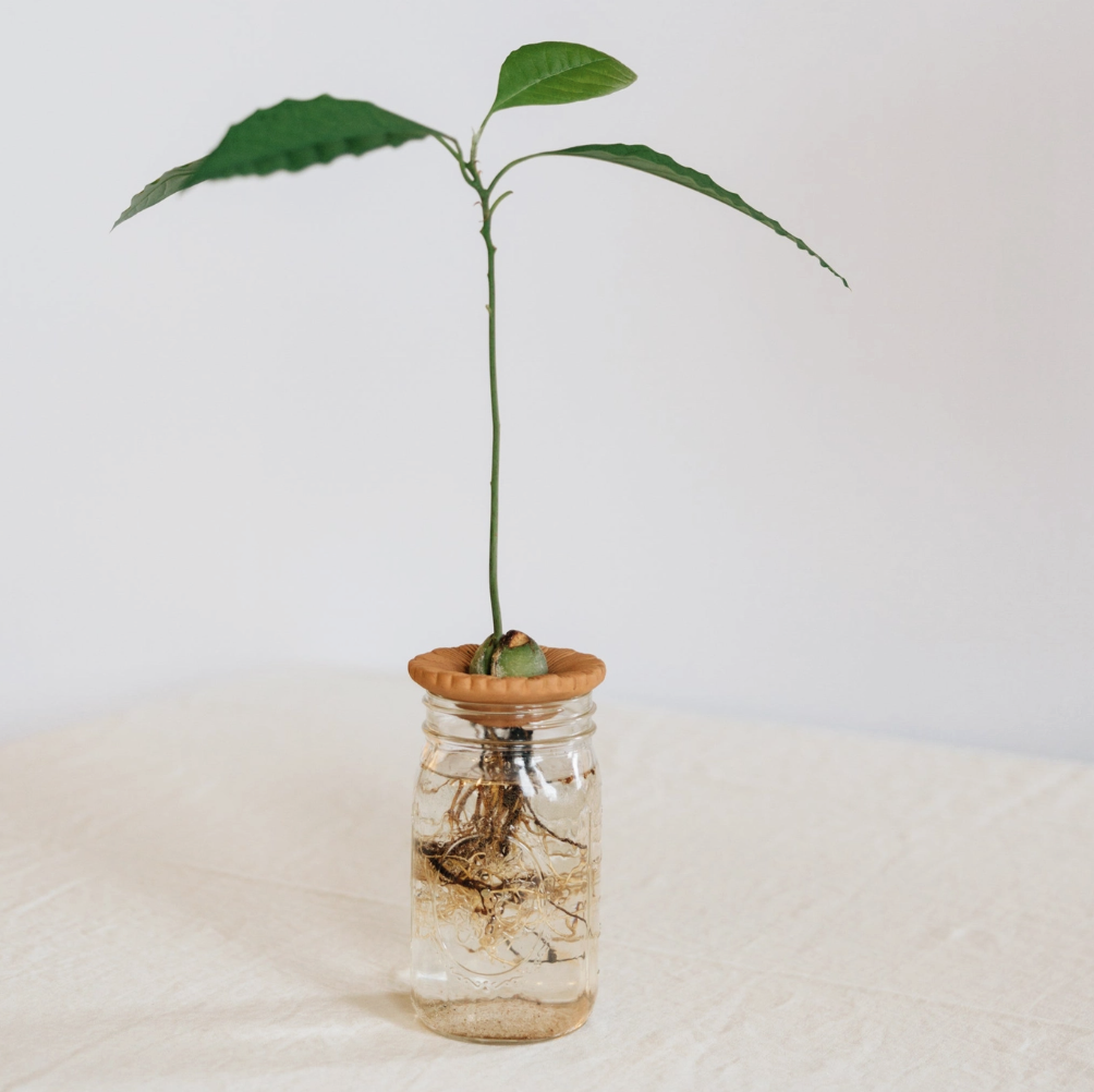 Screenshot 2025-12-10 at 1.21.16 PM.png