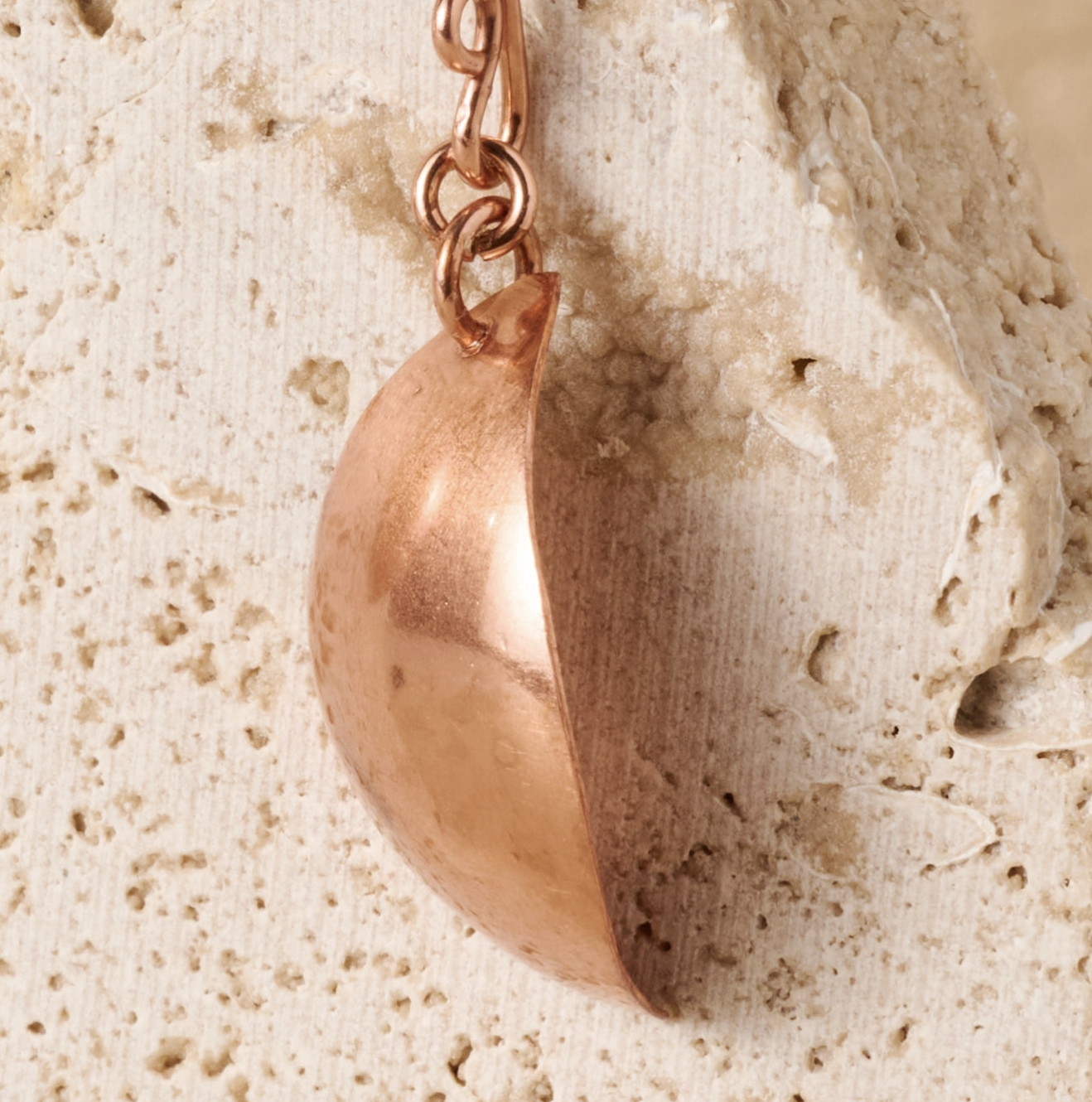 Screenshot 2026-02-25 at 1.02.00 PM.png