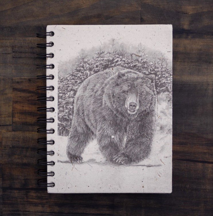 bear.jpg
