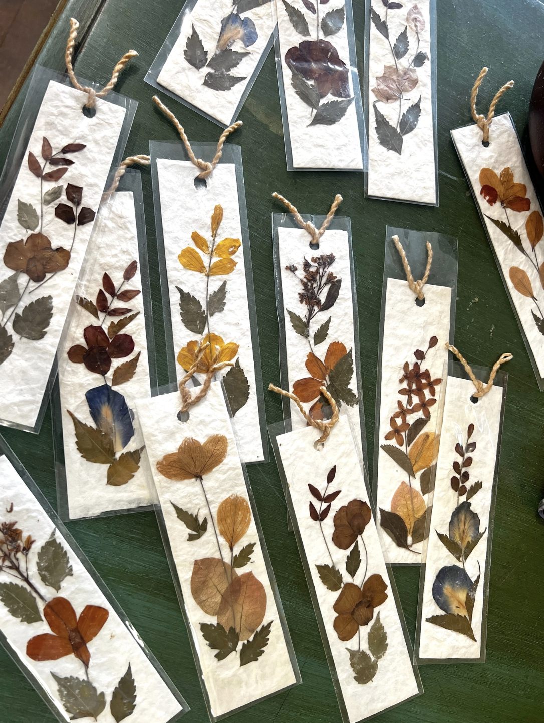 Screenshot 2026-03-04 at 4.00.50 PM.png