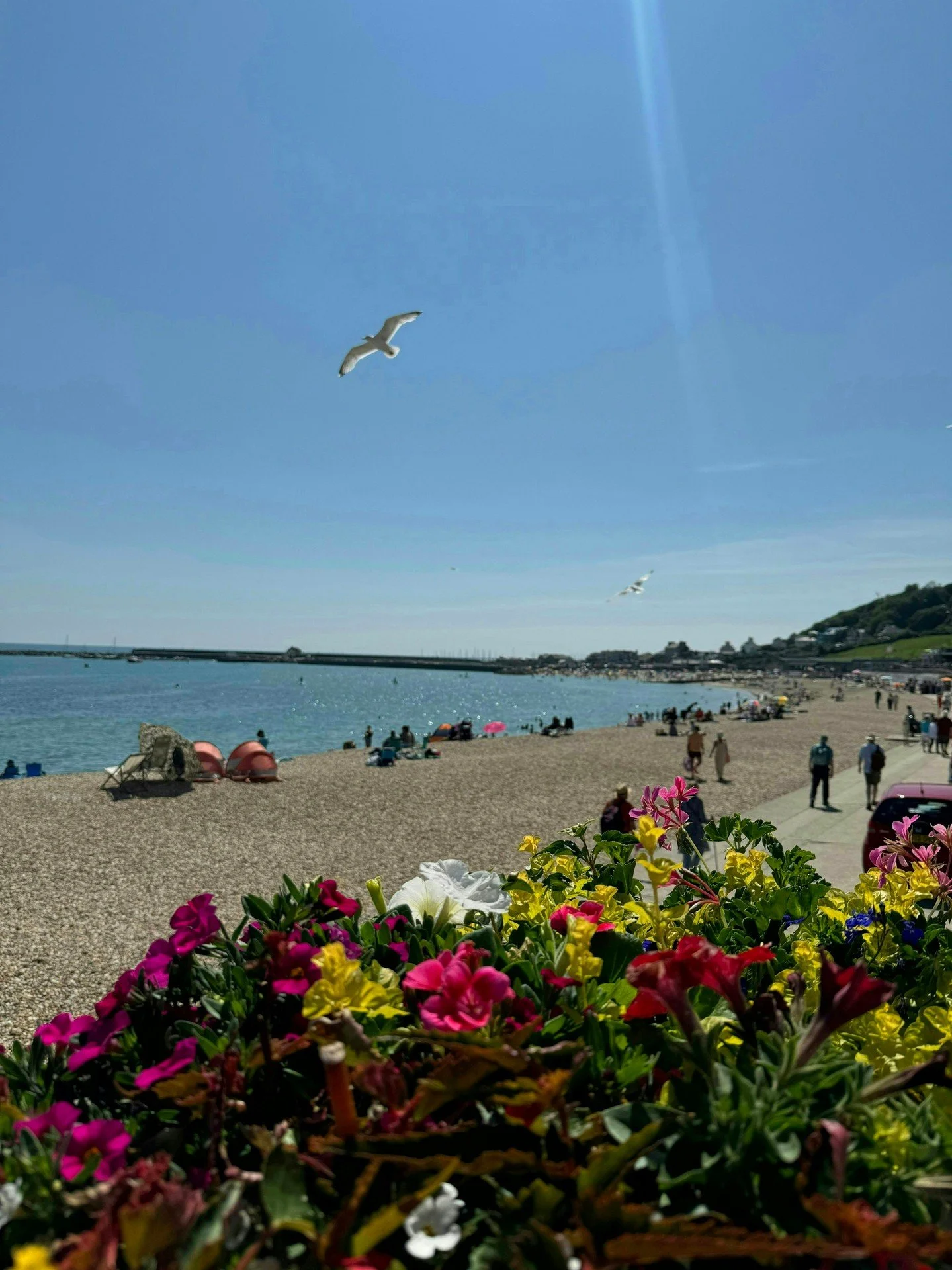 Deckchairs, ice cream, and a sea view - that&rsquo;s a perfect Lyme Regis summer. 🍦⛱️

Make lasting memories by the sea or meander around local businesses: whatever tickles your fancy.

#visitdorset #visitlymeregis #ukstaycation