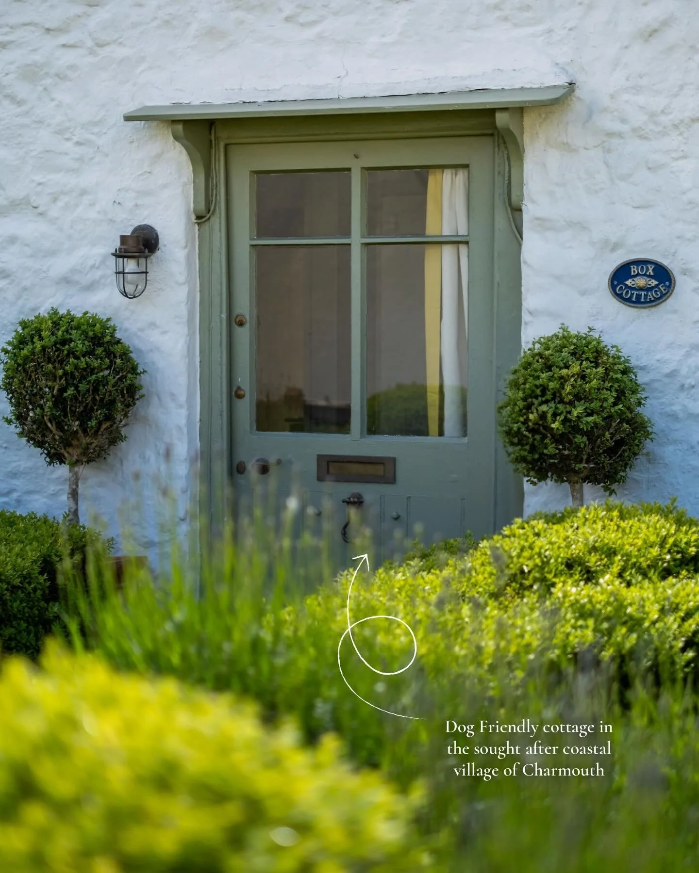 For those of you new here, meet Box Cottage ⬆️ 
Our one-bedroom luxury stay in the charming village of Charmouth, just 3 miles from Lyme Regis.
Refurbished with style, Box Cottage blends coastal calm with country chic: velvet sofas, a log burner, a s