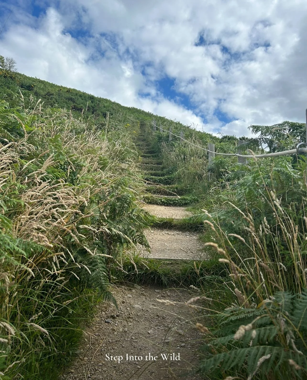 Lace up your boots or don&rsquo;t.

From beach ambles to cliffside climbs, some of the region&rsquo;s most breathtaking walks start right here.

Nature, fossils, wildlife and wow-moments included. 🥾🌿🦌

#lymeregisstays #lymeregis #visitdorest #jura