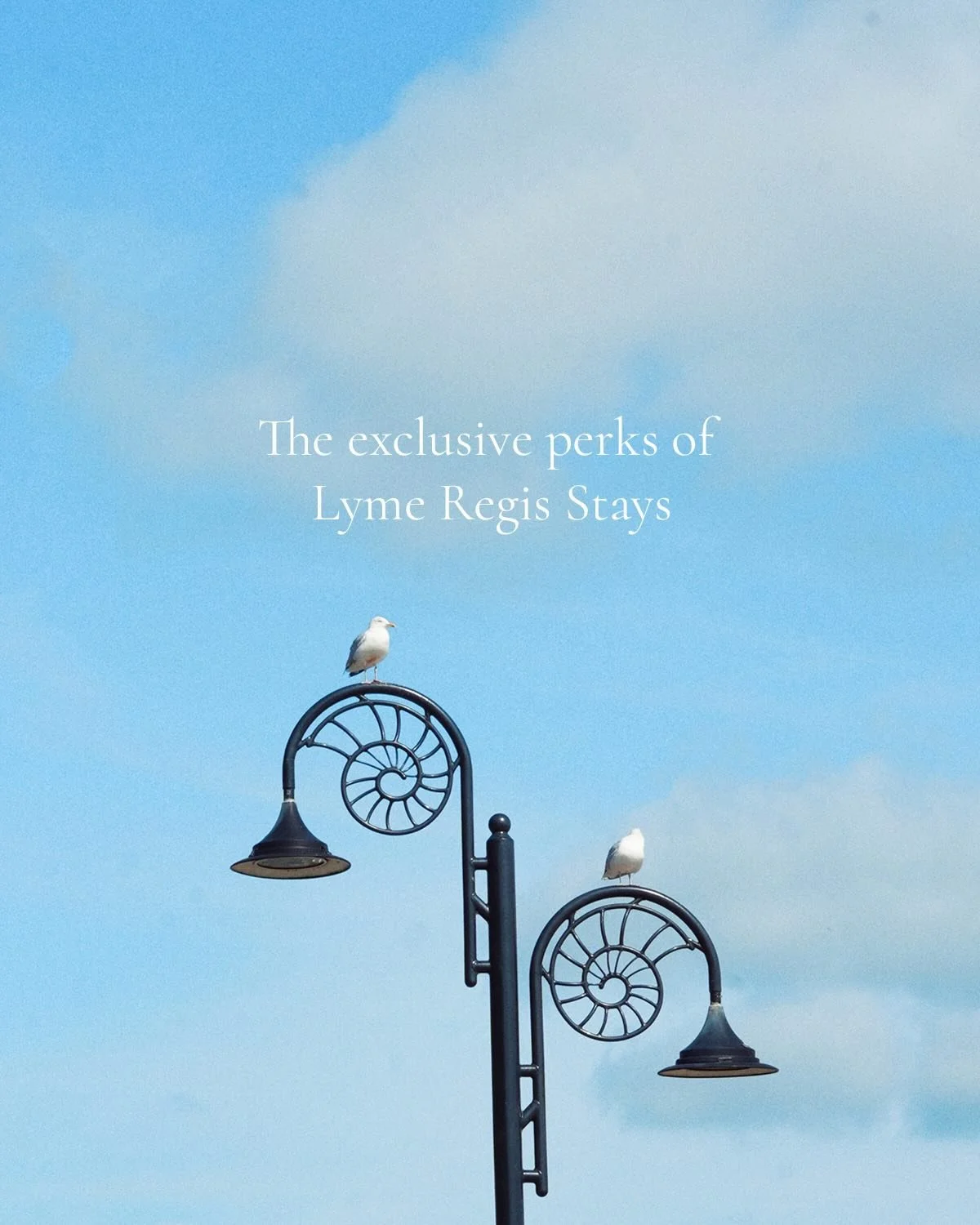 ✨ Lyme Regis Stays Exclusive Perks ✨

Make your getaway even more unforgettable with some of our handpicked local experiences:

🦐 Rockfish 
Enjoy expertly cooked, sustainably caught seafood with arguably the best views in Lyme Regis overlooking The 