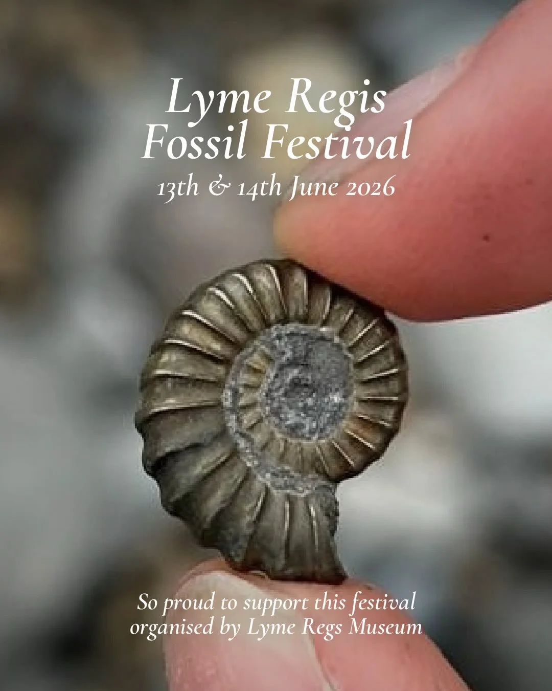 The Lyme Regis Fossil Festival is almost here 🦖

Taking place on 14th &amp; 15th June, it&rsquo;s one of the highlights of the town&rsquo;s calendar, bringing together fossil hunters, families, scientists and curious minds from across the country.


